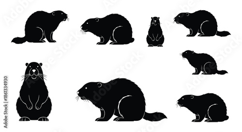 A collection of black silhouettes depicting various poses of adorable beavers