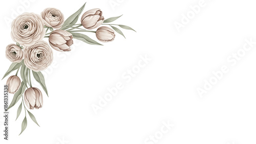 Soft hand painted floral corner border with tulips and ranunculus in a neutral beige palette isolated on white background