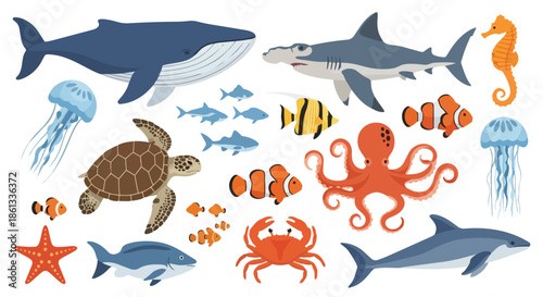 Vibrant collection of diverse ocean inhabitants showcasing various marine species in a charming illustrated flat design style against a clean white