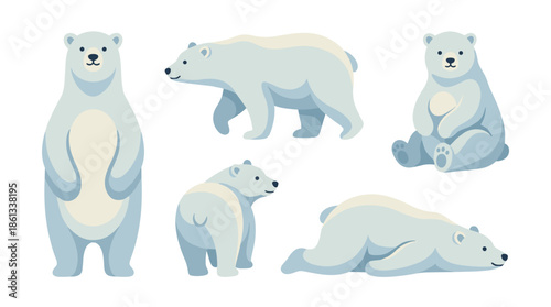 polar bear design white soft vector