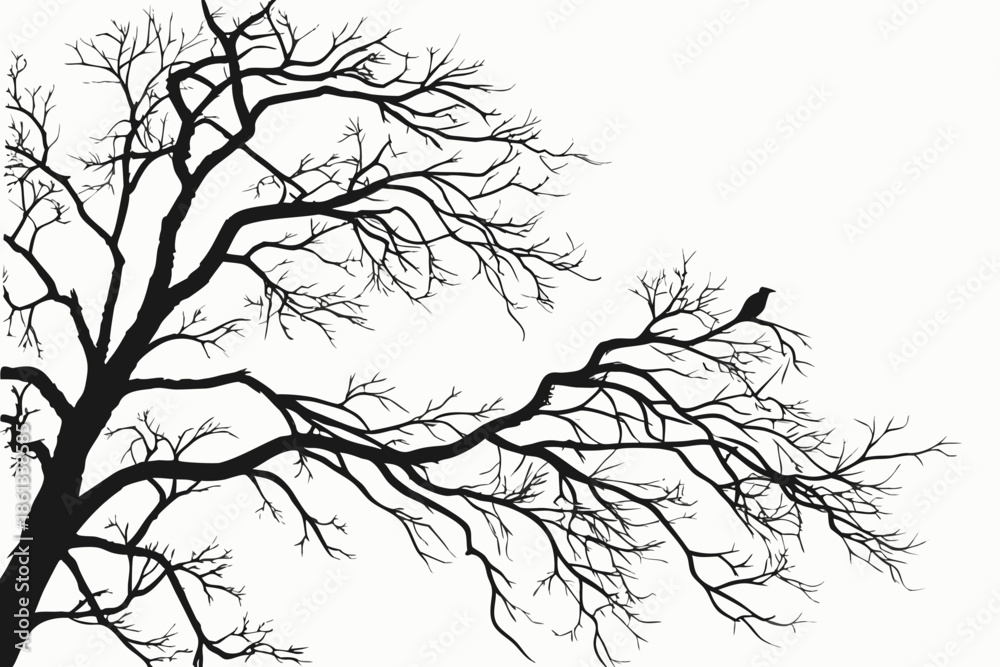 Fototapeta premium vector illustration of a tree