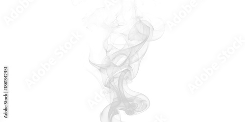 Tableau sur toile Graceful white smoke swirl rising against stark black background abstract ethere