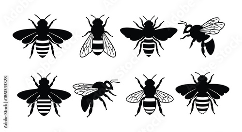 A collection of detailed black and white bee and wasp illustrations