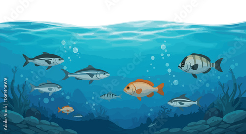 Underwater illustration featuring various fish swimming in blue water. Seabed visible with rocks and plants. Bubbles rising. Diverse marine life