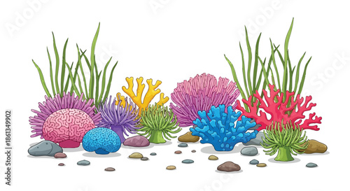 Vibrant underwater ecosystem illustration featuring diverse coral species, sea anemones, and aquatic plants