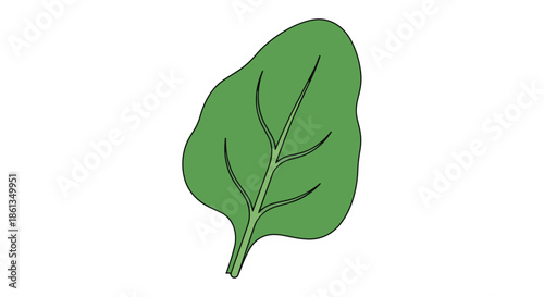 Vibrant single green leafy vegetable illustration symbolizing freshness and healthy plant-based nutrition for web and print media uses