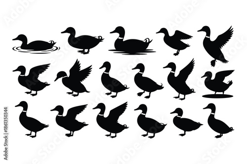 Collection of duck silhouettes depicting various poses and actions