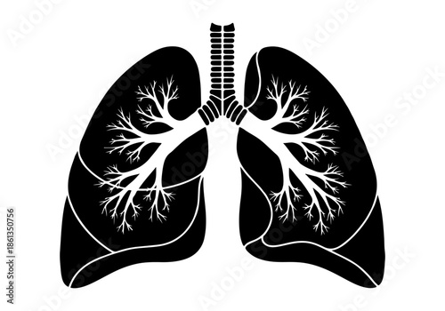 Vector illustration depicting the human lungs and respiratory system, featuring intricate bronchial tree anatomy for medical and educational content