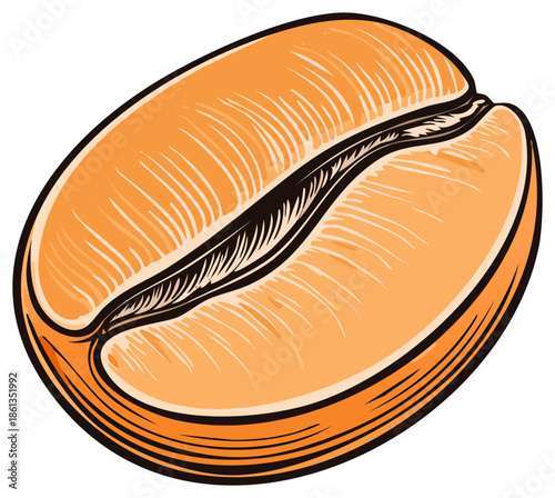 Illustrative close-up of a single orange-hued coffee bean with a distinctive groove and sketch-like texture