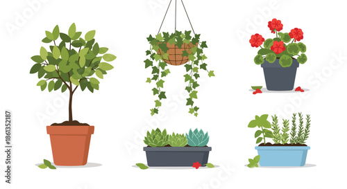 A vibrant collection of diverse potted plants showcasing indoor botanical beauty and green decor variety