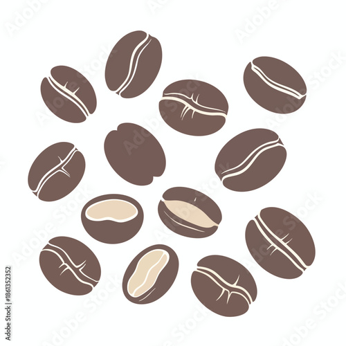 Illustration of coffee beans. Several beans in shades of brown on a white background