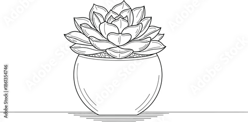 Simple black and white outline drawing of a beautiful succulent plant in a round container