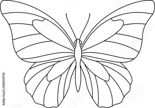 Elegant Black and White Outline Illustration of a Butterfly