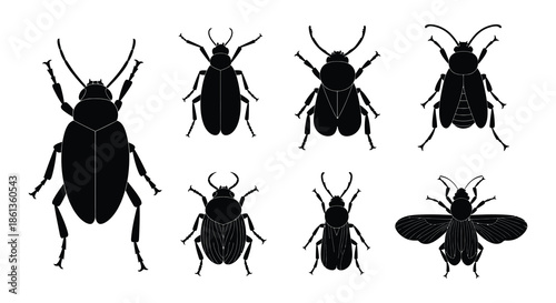 A collection of black silhouette insects including beetles and a moth