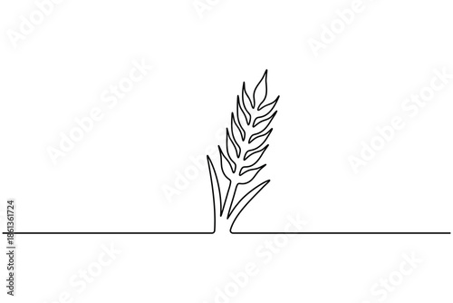 Minimalist one line drawing of wheat stalk vector art