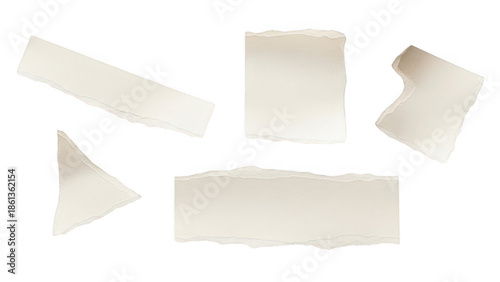 Wallpaper Mural Collection of various torn paper pieces on white background Torontodigital.ca