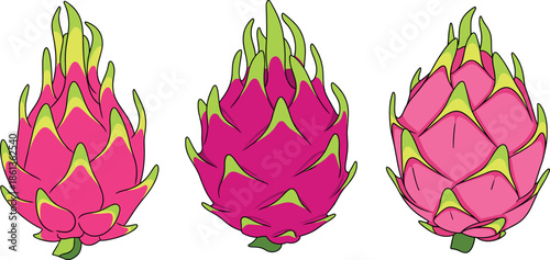 Set of three whole dragon fruit illustrations featuring pink pitahaya with green scales isolated on white for tropical nature and food design.