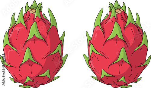 Set of two tropical dragon fruit illustrations featuring whole pink pitaya with green scales isolated on white for food and nature design.