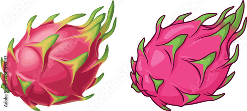 Set of two tropical dragon fruit illustrations featuring whole pink pitaya in an angled perspective isolated on white for food and nature design.