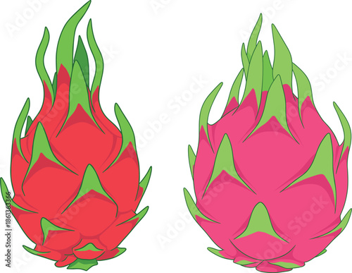 Set of two whole tropical dragon fruit illustrations featuring pink pitaya with green scales isolated on white for food and nature design.