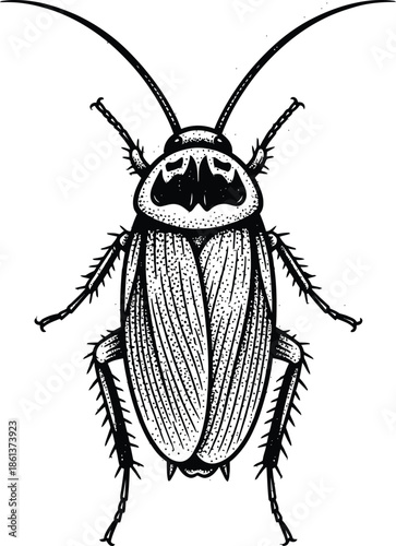 Cockroach Insect Black and White Engraving Style Isolated Vector Drawing