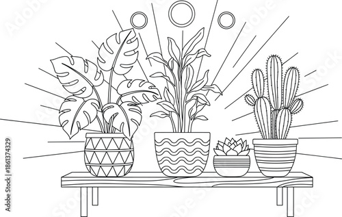 Indoor potted plants line art illustration with monstera, cactus and houseplants arranged on shelf in minimalist style