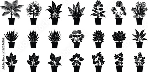 Collection of black silhouettes of tropical palm trees and indoor houseplants in pots, different floral icons and botanical vector set on white background,