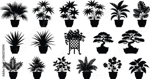 Large set of various indoor plant silhouettes in pots, tropical houseplants, bonsai trees, and botanical leaf icons vector illustration isolated on white background.