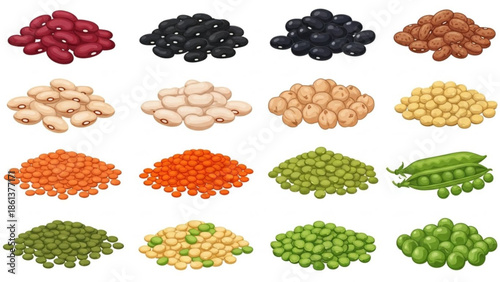 Collection of assorted beans and legumes diverse healthy food ingredients flat vector illustration isolated on white background