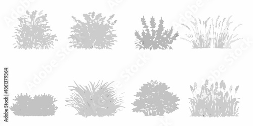 Arrangement of diverse gray silhouettes depicting various types of grasses and shrubs