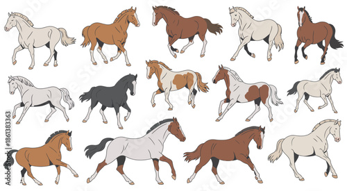 Dynamic Illustrations of Various Horse Breeds in Action - Animal Art Collection