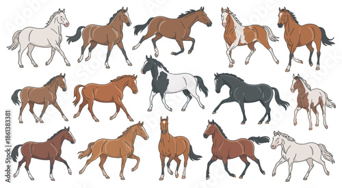 Collection of Various Horse Breeds and Poses in Diverse Colors and Styles