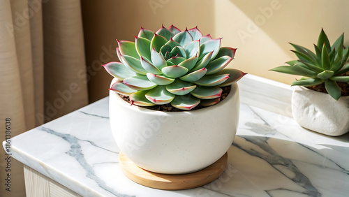 Minimalist Botanical Bliss