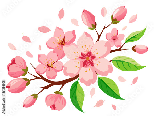 Simple cherry blossom illustration. Vector illustration. White background. Spring. Japan. Japanese style. Watercolor style.
