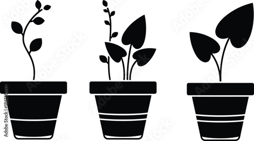 Solid Black Vector Icon Set Featuring Diverse Sprouting Plants and Large Leaved Indoor Foliage in Striped Ceramic Pots