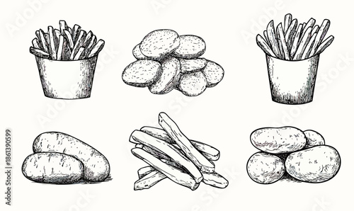 Hand drawn vector illustration of fresh potatoes, French fries in containers and loose potato chips with detailed sketch line art style for food concept design
