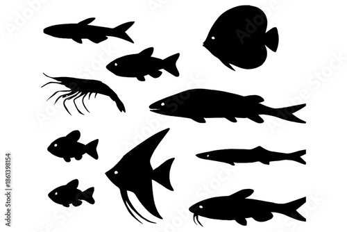 silhouettes of fish,
Most Popular Aquarium Fish Silhouettes Vector Set