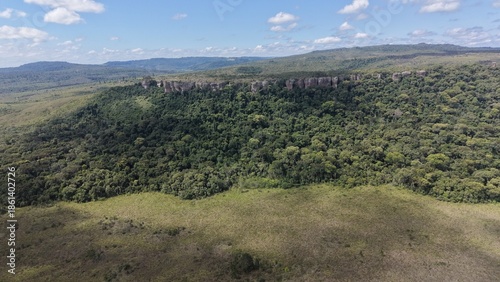 Lush Green Hills and Forest Landscape Under Blue Sky