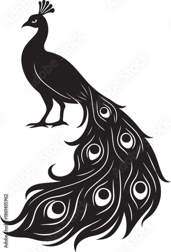 peacock bird with beautiful feathers