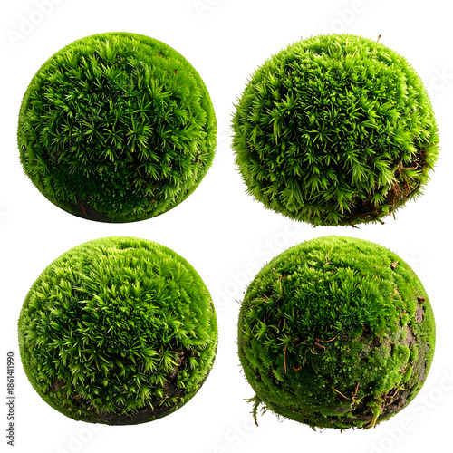 Four spherical objects covered in vibrant green moss, isolated on a black background