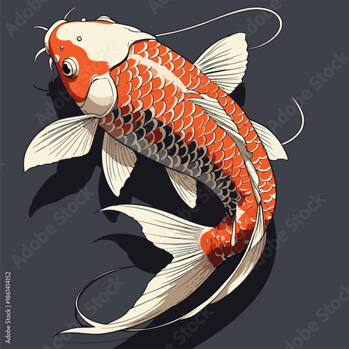 Japanese art style koi fish vector image in an attractive color scheme