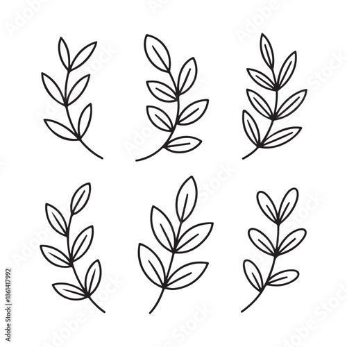 Vertical Branch Set Vector