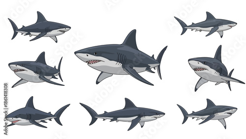 Collection of various great white sharks swimming in different poses.