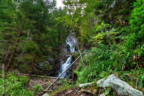 A scenic view of a mountain waterfall flowing through a dense evergreen forest in the High Tatras, near Hladke sedlo. The image captures the raw beauty of Slovakian alpine nature with mossy rocks and 