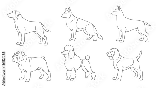 Set of dogs and horses vector collection featuring animal silhouettes of pets and farm mammals in black outline design for nature illustrations