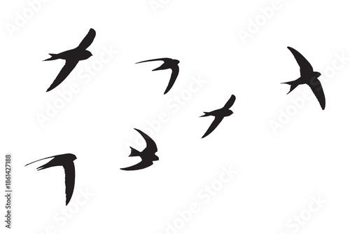 Flock of Swift Birds Flying in the Sky Silhouette Vector Isolated on White