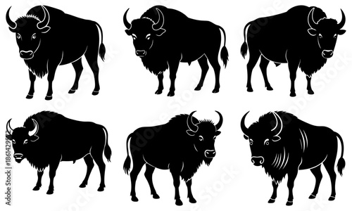 Six Black Buffalo Silhouettes on White Background animal