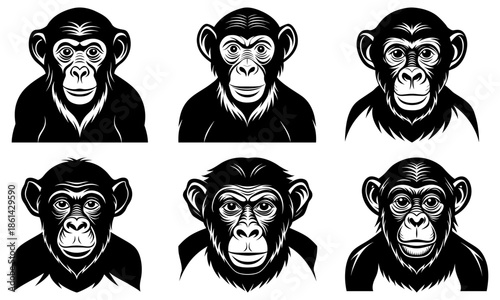Six Black and White Chimpanzee Faces with Different Expressions on White Background monkey primate