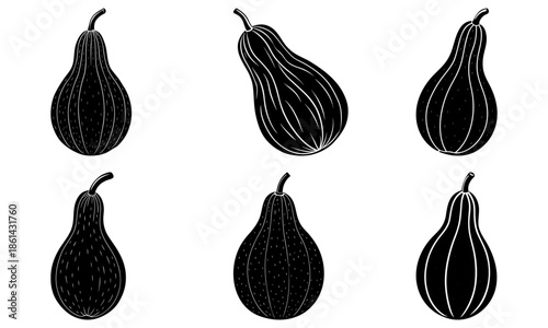 Five Black and White Silhouette Gourds on White Background squash vegetable