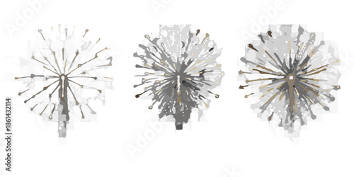 Three golden fireworks bursts against a dark black background illuminate the night